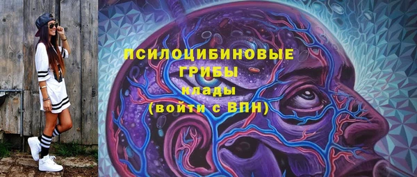 твердый Аркадак