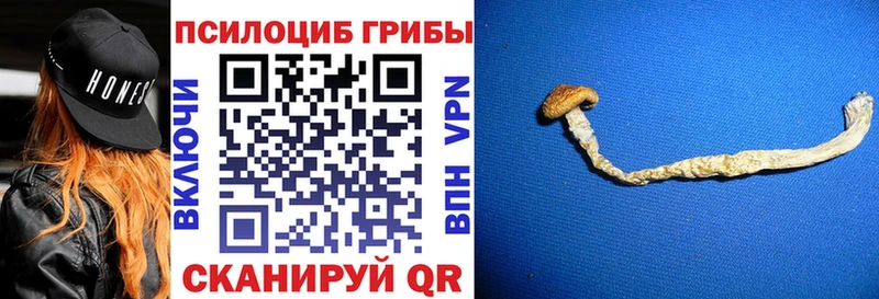 Псилоцибиновые грибы Cubensis  mega как войти  Жигулёвск 